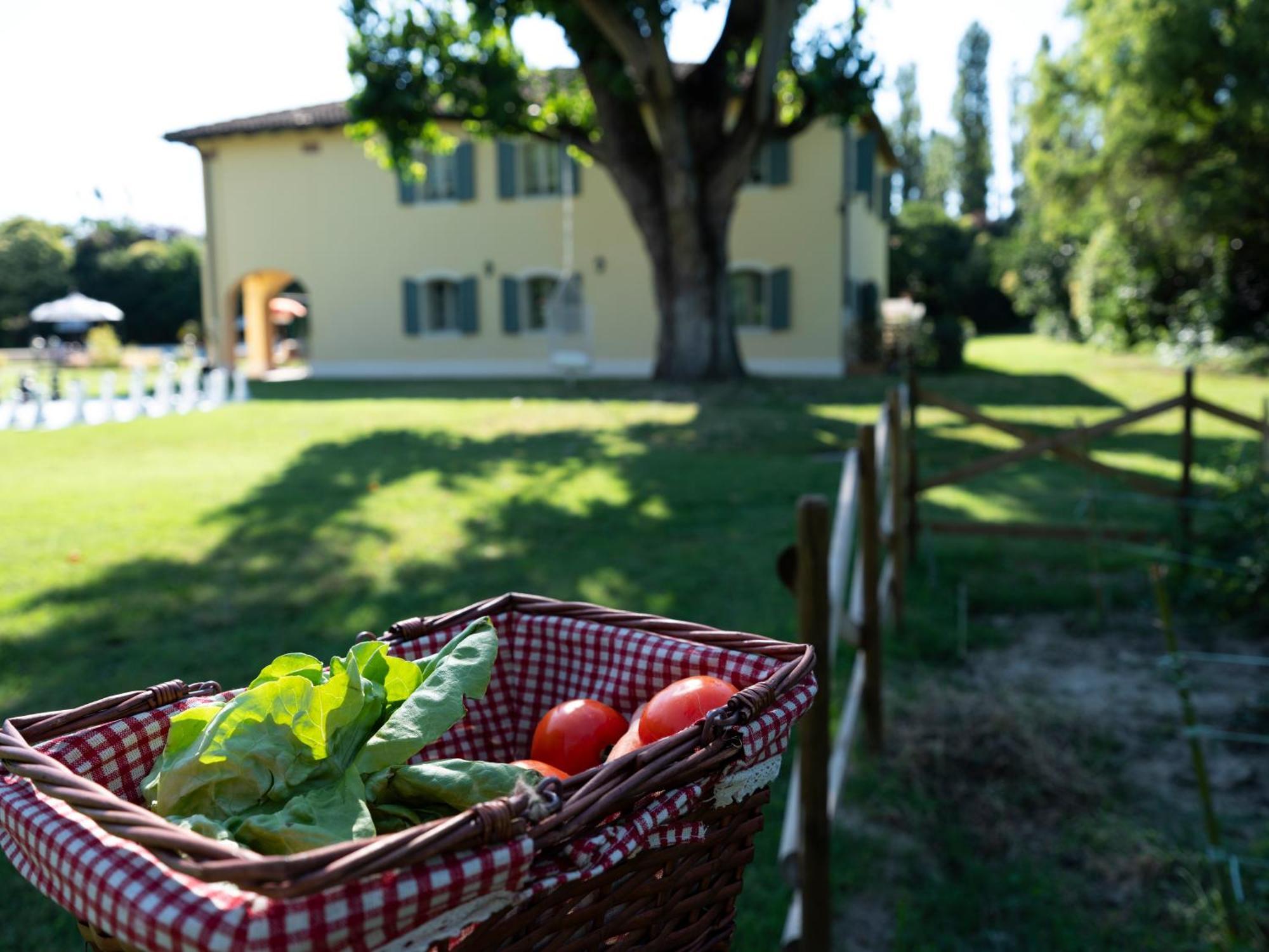 Elizabeth Country House, A Member Of Design Hotels ミネルビオ エクステリア 写真